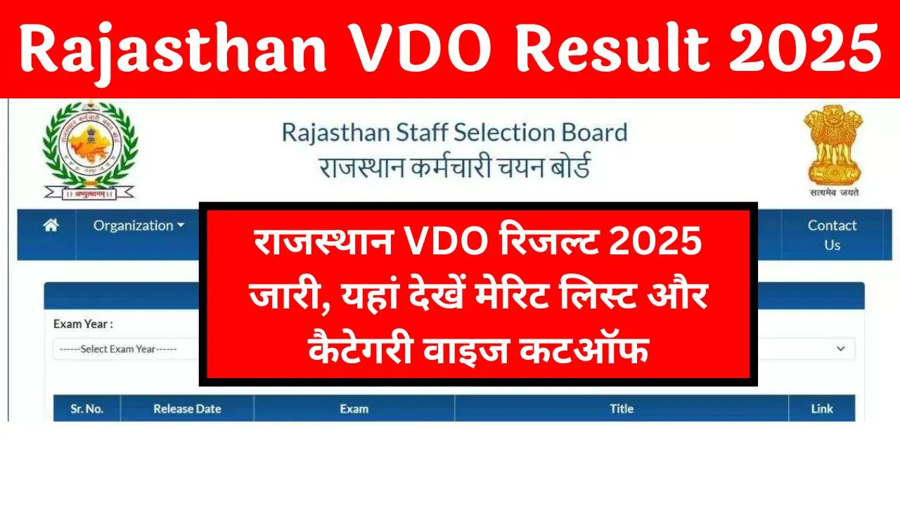 Rajasthan VDO Result 2025